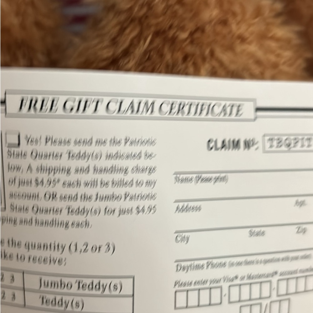 Teddy Bear